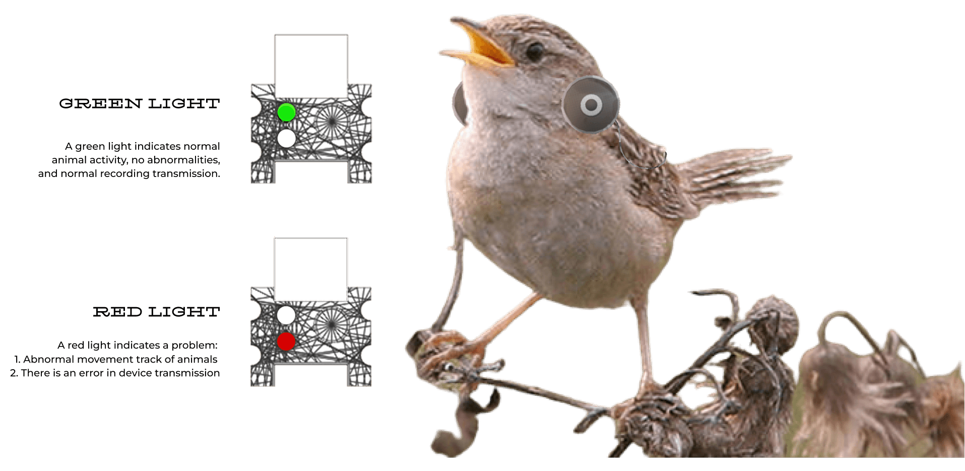 Motion monitor device