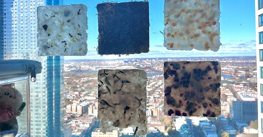 Five handmade paper swatches taped to a window, backlit against a city skyline